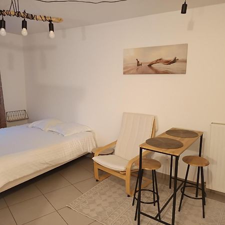Villa'Vi Lyon Est Chambres D'Hotes サン・プリエスト エクステリア 写真