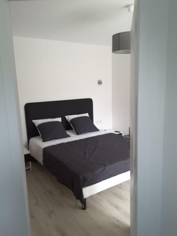 Villa'Vi Lyon Est Chambres D'Hotes サン・プリエスト エクステリア 写真