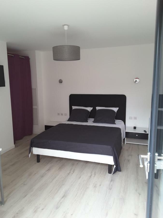 Villa'Vi Lyon Est Chambres D'Hotes サン・プリエスト エクステリア 写真