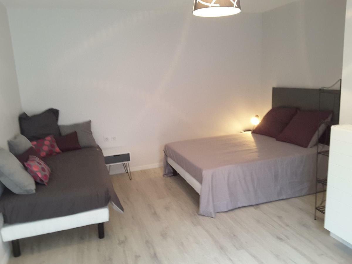 Villa'Vi Lyon Est Chambres D'Hotes サン・プリエスト エクステリア 写真