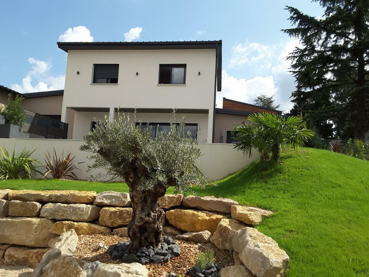 Villa'Vi Lyon Est Chambres D'Hotes サン・プリエスト エクステリア 写真